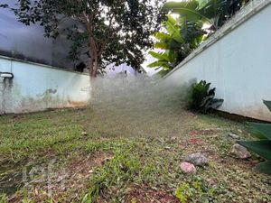 Image 13 - 884756