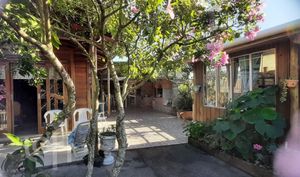 Image 2 - 884776