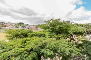 Image 4 - 884796