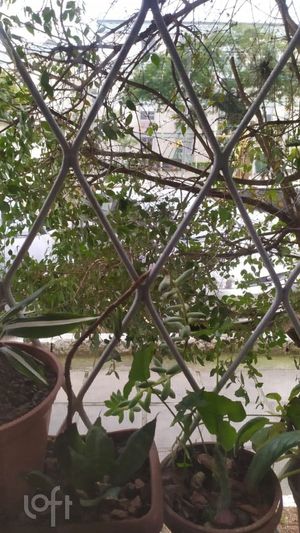 Image 7 - 884834