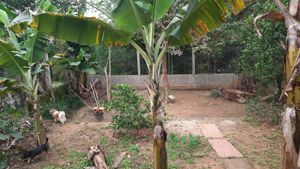 Image 13 - 884870