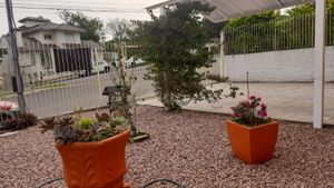 Image 11 - 884870