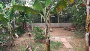 Image 17 - 884870