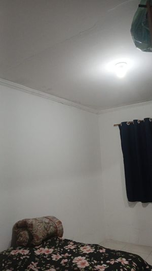 Image 8 - 884960