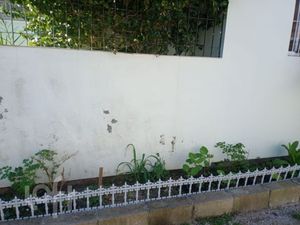 Image 28 - 885110