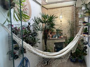 Image 5 - 885158