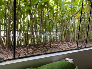 Image 6 - 885300