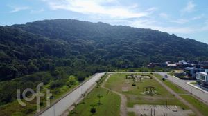 Image 8 - 885329