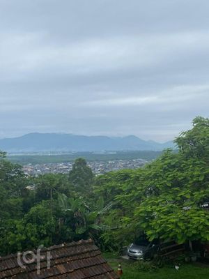 Image 11 - 885335