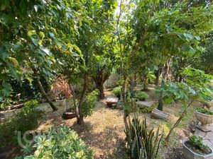 Image 1 - 885434
