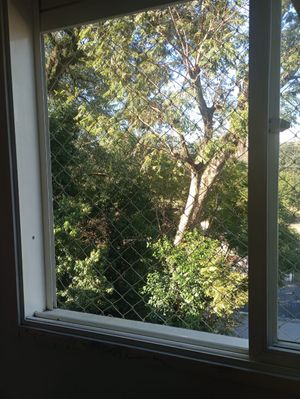 Image 7 - 885569