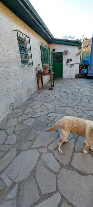 Image 19 - 885640