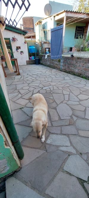 Image 16 - 885640