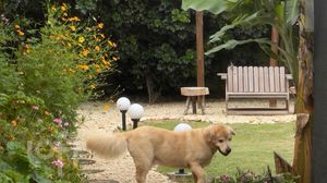 Image 97 - 885643
