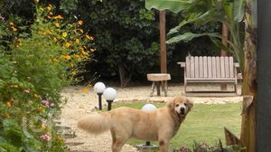 Image 96 - 885643