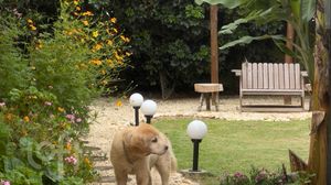 Image 94 - 885643