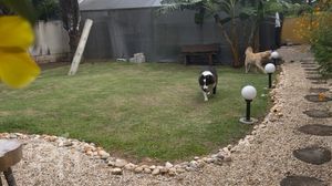 Image 80 - 885643