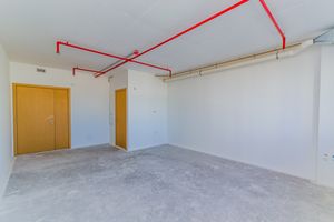 Image 39 - 885649