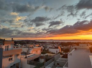 Image 16 - 885784