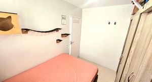 Image 11 - 885859