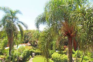 Image 13 - 885925