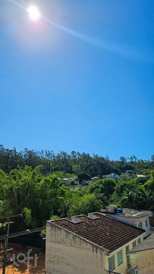 Image 5 - 885947