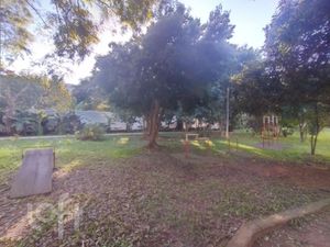 Image 24 - 886258