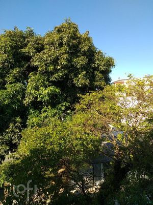 Image 13 - 886342