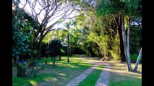 Image 44 - 886431