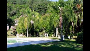 Image 32 - 886431