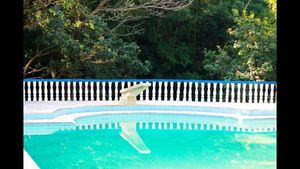 Image 42 - 886431