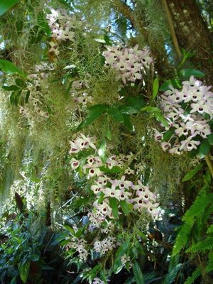 Image 5 - 886431