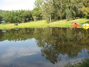 Image 45 - 886431
