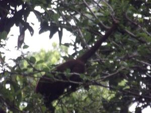 Image 17 - 886431