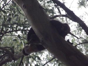 Image 1 - 886431