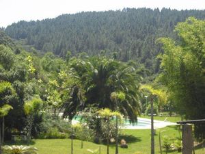 Image 46 - 886431