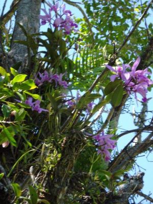 Image 4 - 886431