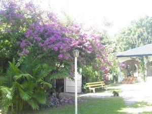 Image 43 - 886431