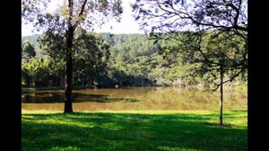 Image 33 - 886431