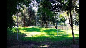 Image 31 - 886431