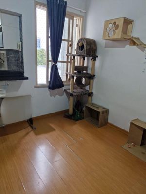 Image 5 - 886467
