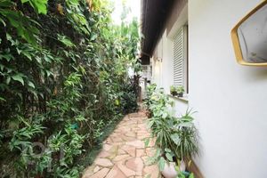 Image 50 - 886519