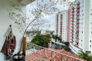 Image 37 - 886525