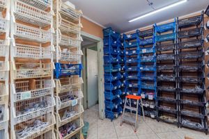 Image 49 - 886536