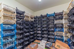 Image 10 - 886536