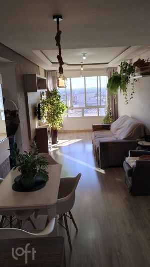 Image 12 - 886568