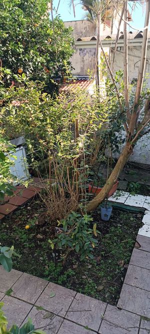 Image 4 - 886668