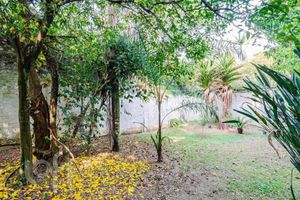 Image 65 - 886692