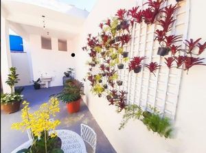Image 9 - 886787