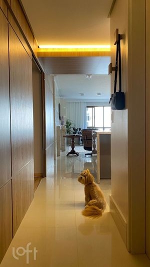 Image 18 - 886833